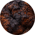 chaga