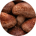 šitake